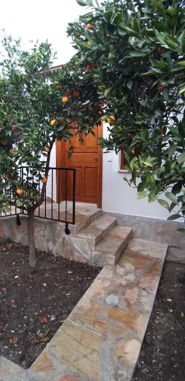 Jardí