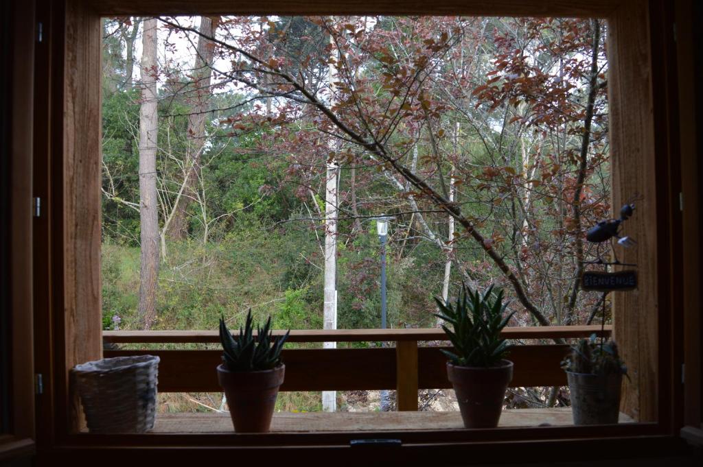 La cabane du Truquet - 2