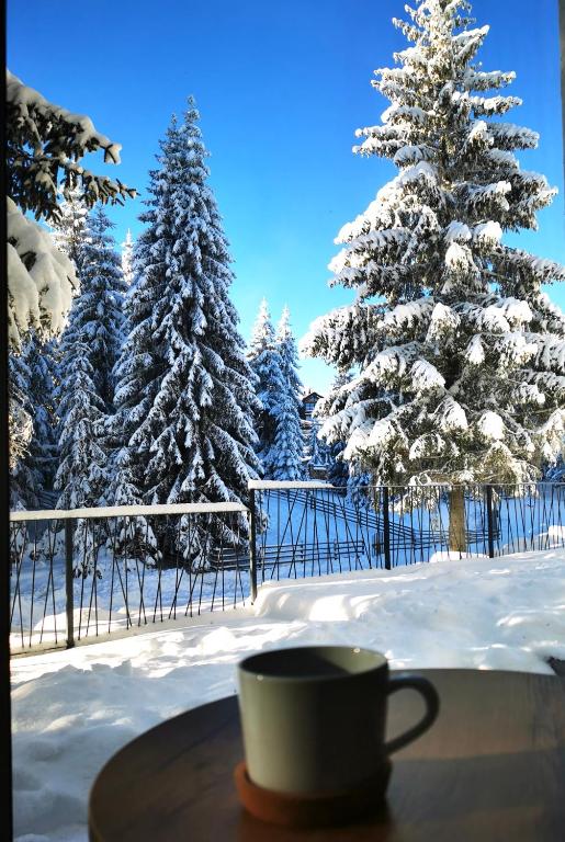 PineTree Jahorina - 3