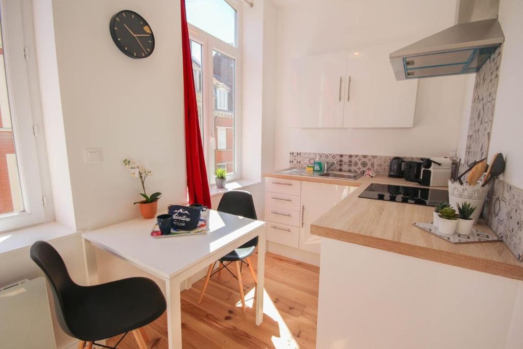 Lille centre- Nice and bright equipped studio - 5