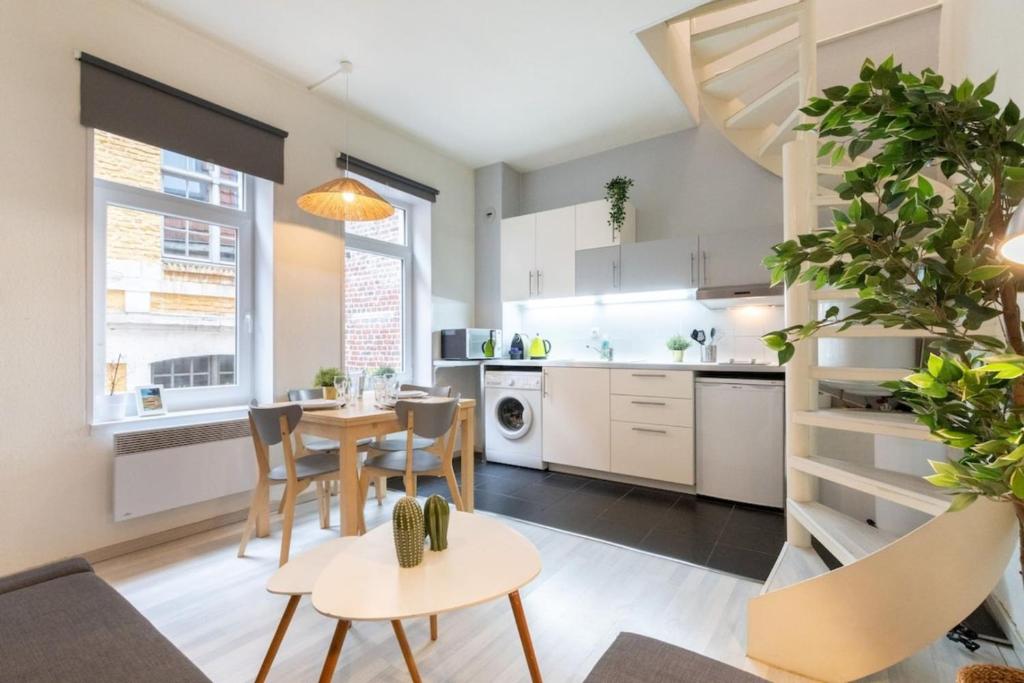 Vieux Lille bright duplex ! 3pers - 3