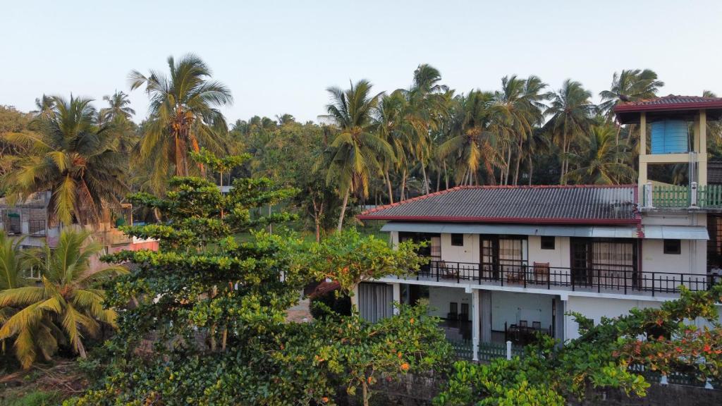 Mango Shade, Dikwella