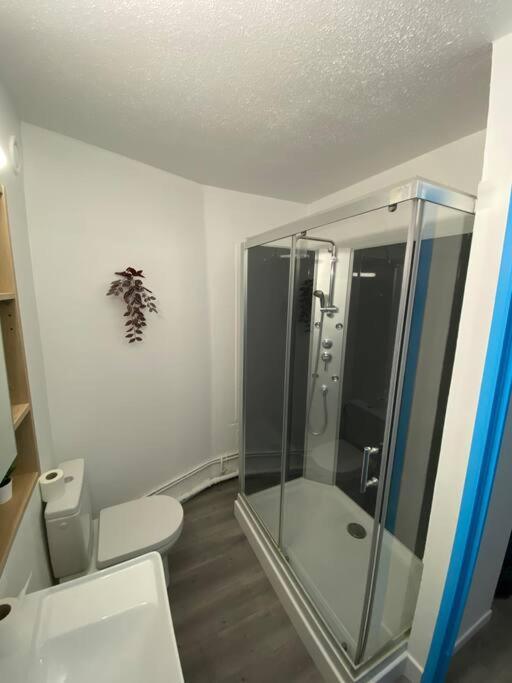 Krutenau Lifestyle, nid pour couple, cœur de Strasbourg - 3