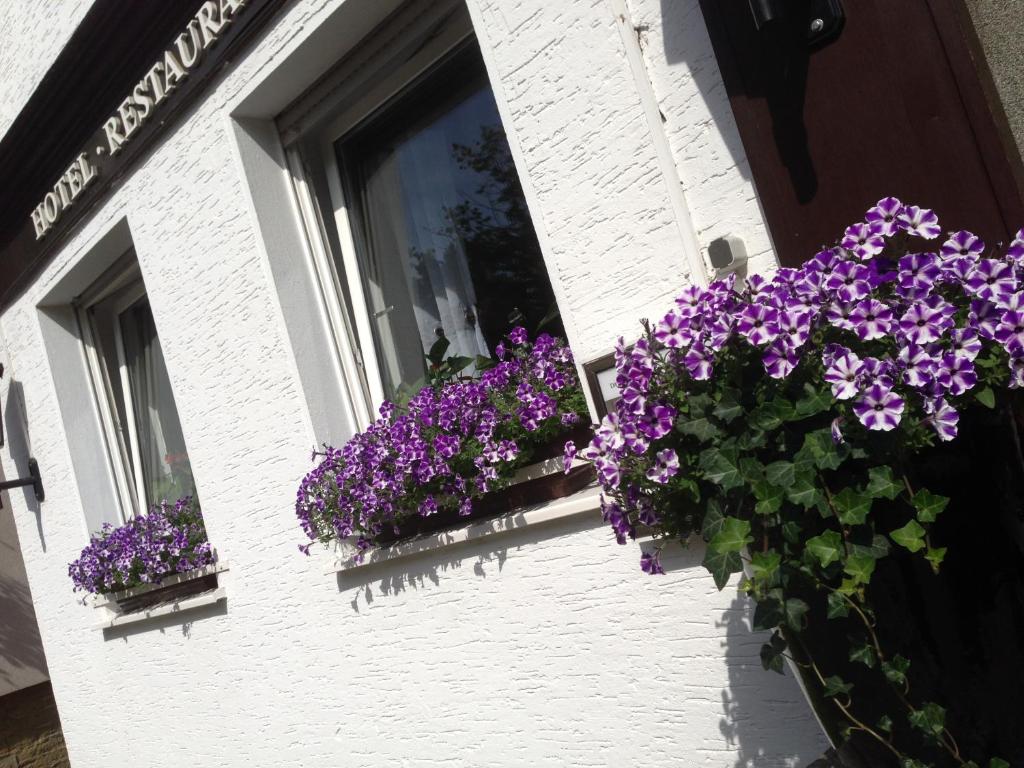 Hotel Domhof photo