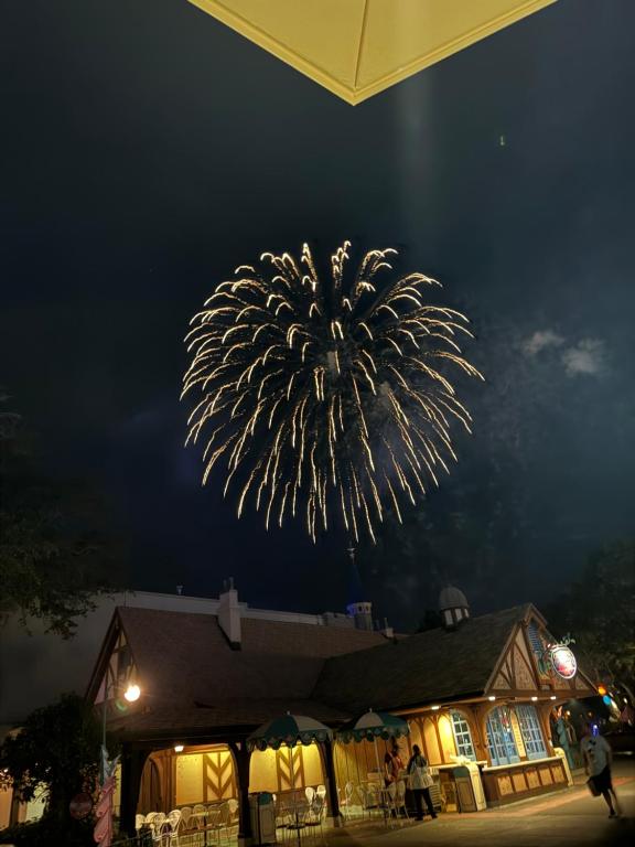 Fireworks WDW Condo, Orlando