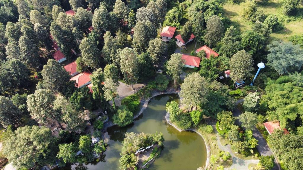 Surrounding environment