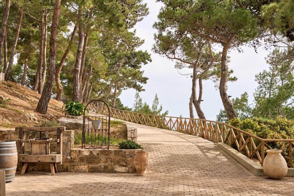 Surrounding environment