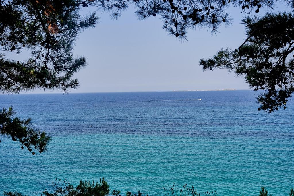 Surrounding environment