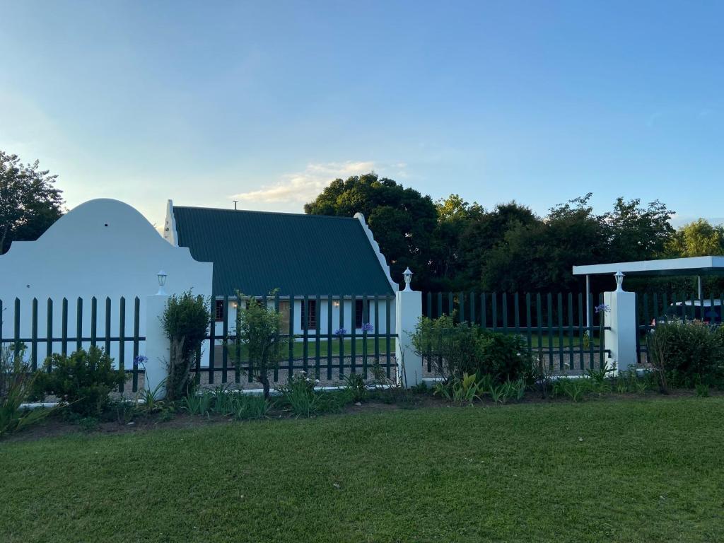 Cape Chameleon, Nottingham Road