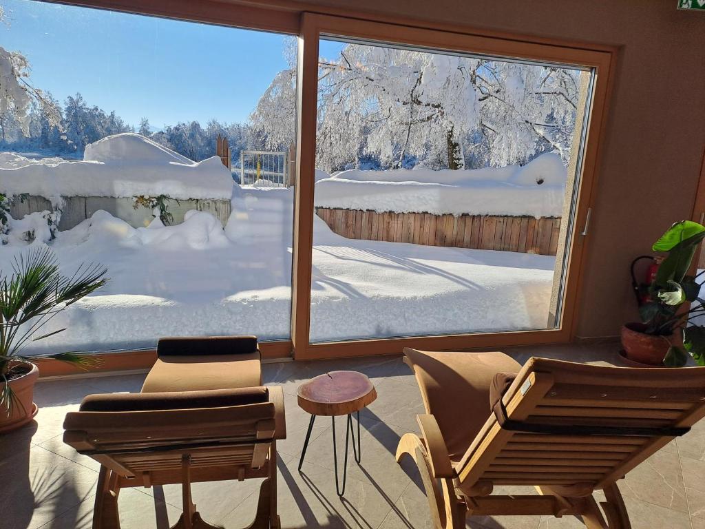 Hotel-Pension Seebad "Seegenuss-Natur-Spa" - 4