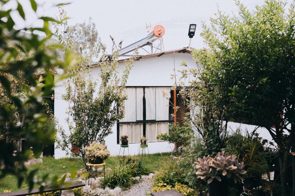 The Willow B&B - 2