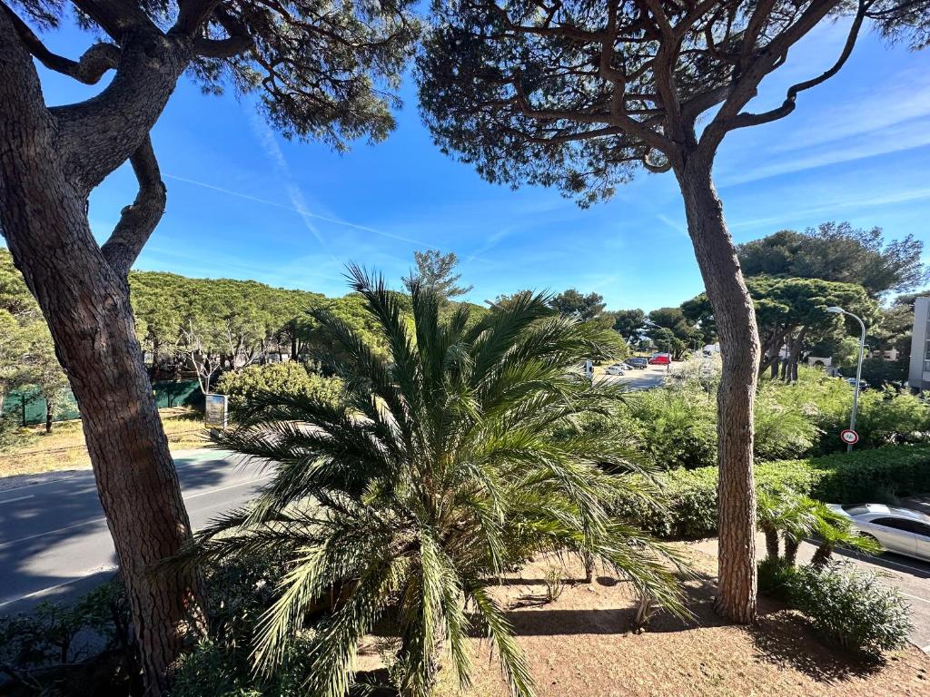 HYEBOUG Appartement pour 4 personnes dans résidence avec piscine situé sur le port d'Hyères - 2