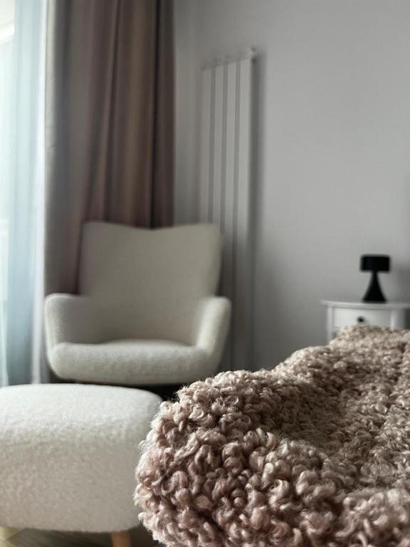 Dorcolina - Novi Dorcol - 1