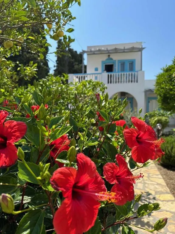 EFFIE'S STUDIOS, מלון באלינדה