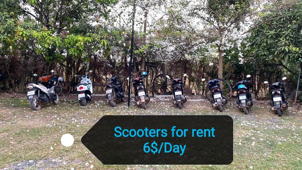 Surrounding environment