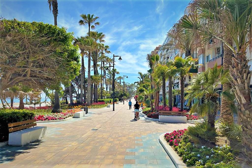 Estepona Town Apartment ANITA - 4