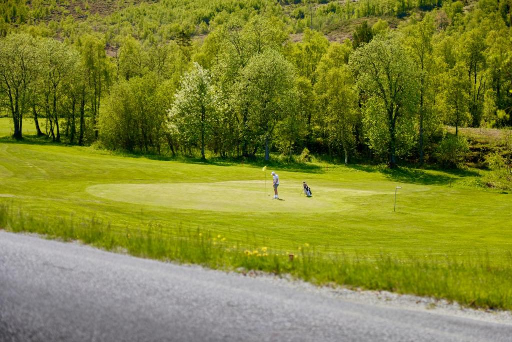 Golf course [on-site]