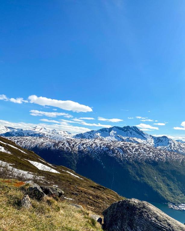 Sport és szabadidő