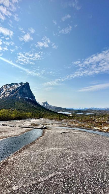 スポーツ/アクティビティ