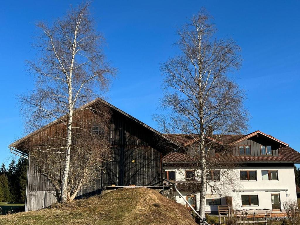 Haus Allgäu Ruh - 5