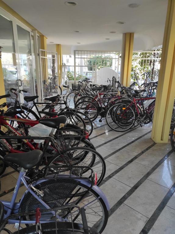 Hotel Ginevra - 3