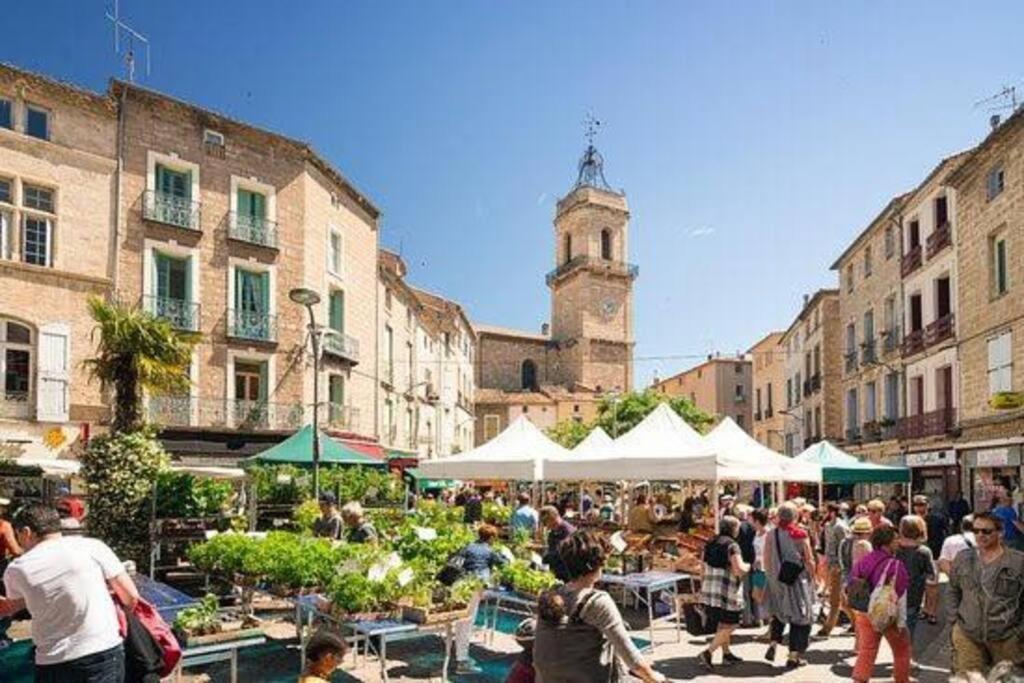 Tranquil apt with patio, Pézenas historic centre - 5