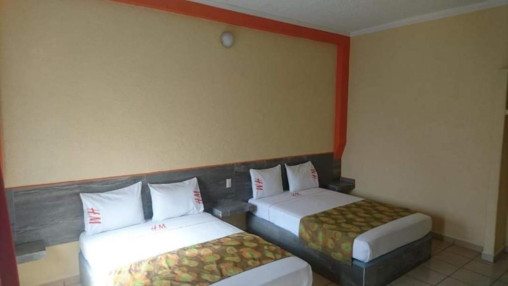 Hotel Madrid Guadalajara - 5