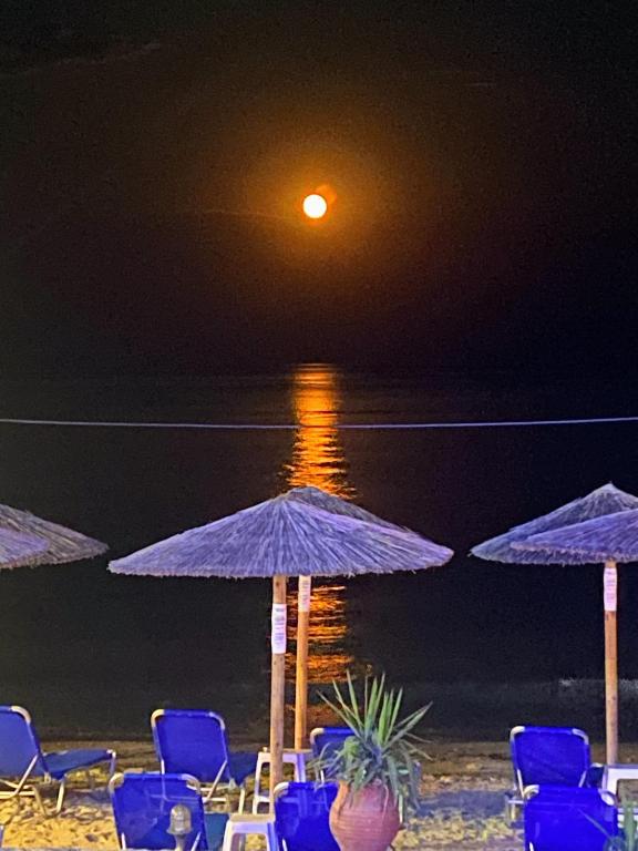 Blue Sea Beach Resort