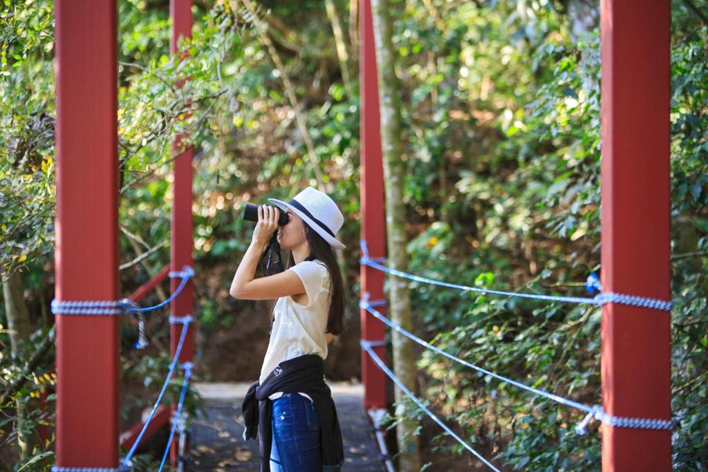 Attractions
