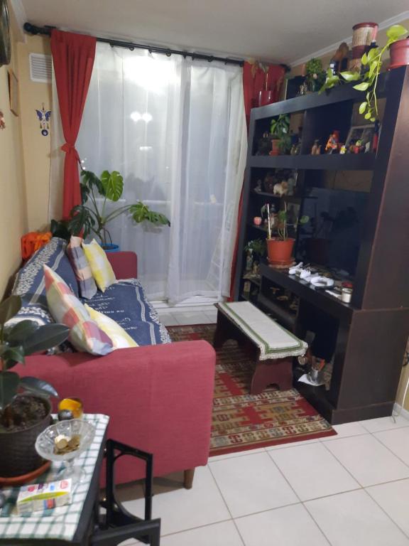 Comparto Depto. en La Cisterna ( hermoso y cómodo, cómo en casa) - 1
