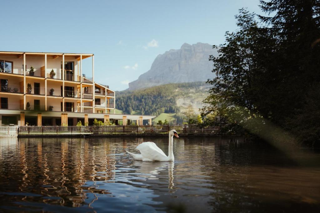 Hotel Lech Da Sompunt - 2