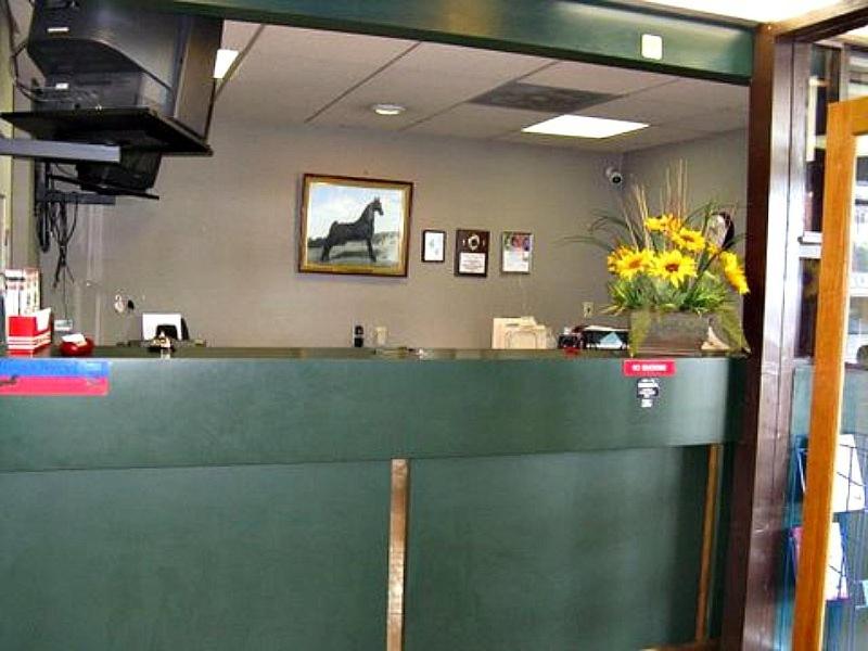 Walking Horse Lodge Lewisburg photo