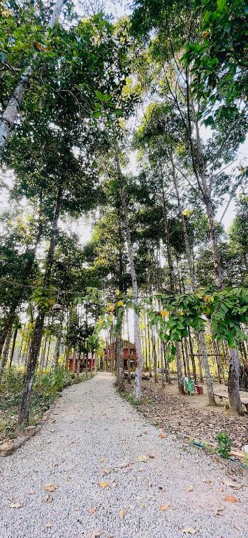 Surrounding environment