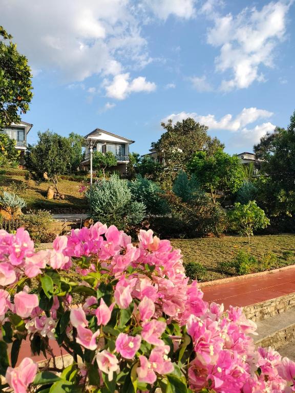 Homestay hichi Homestay hichi