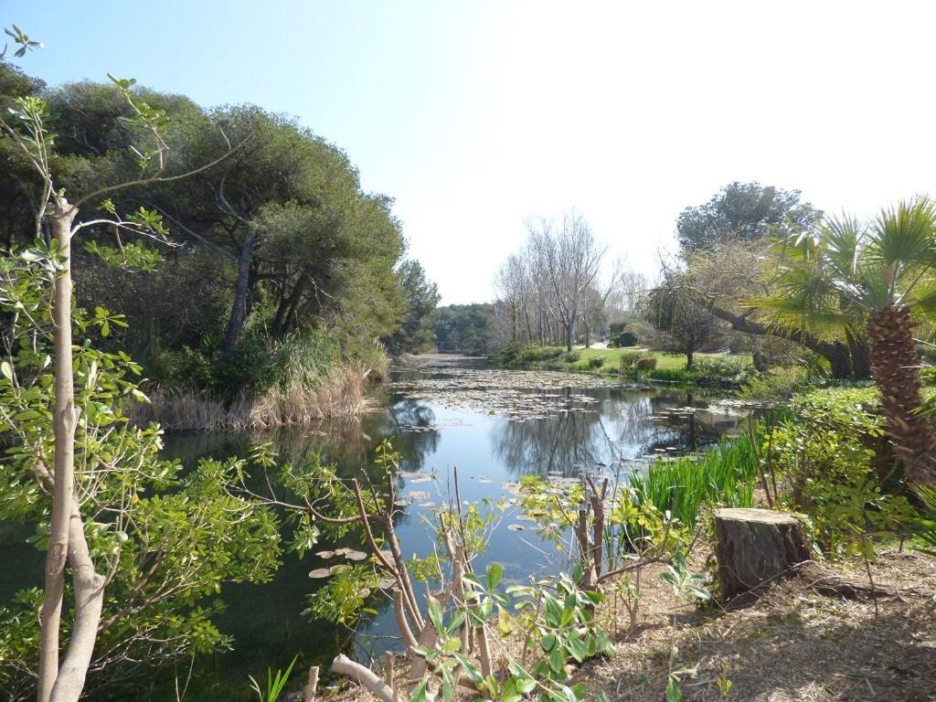 150 m plage, domaine privé avec piscine - 2