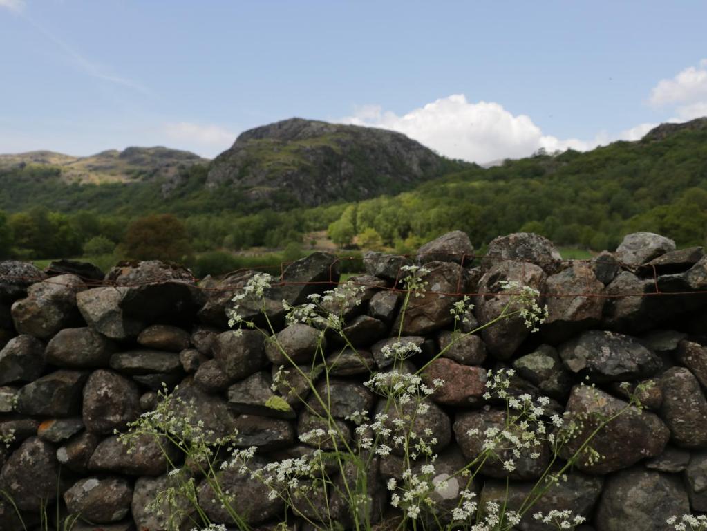 The Bothy, Rusland photo 8