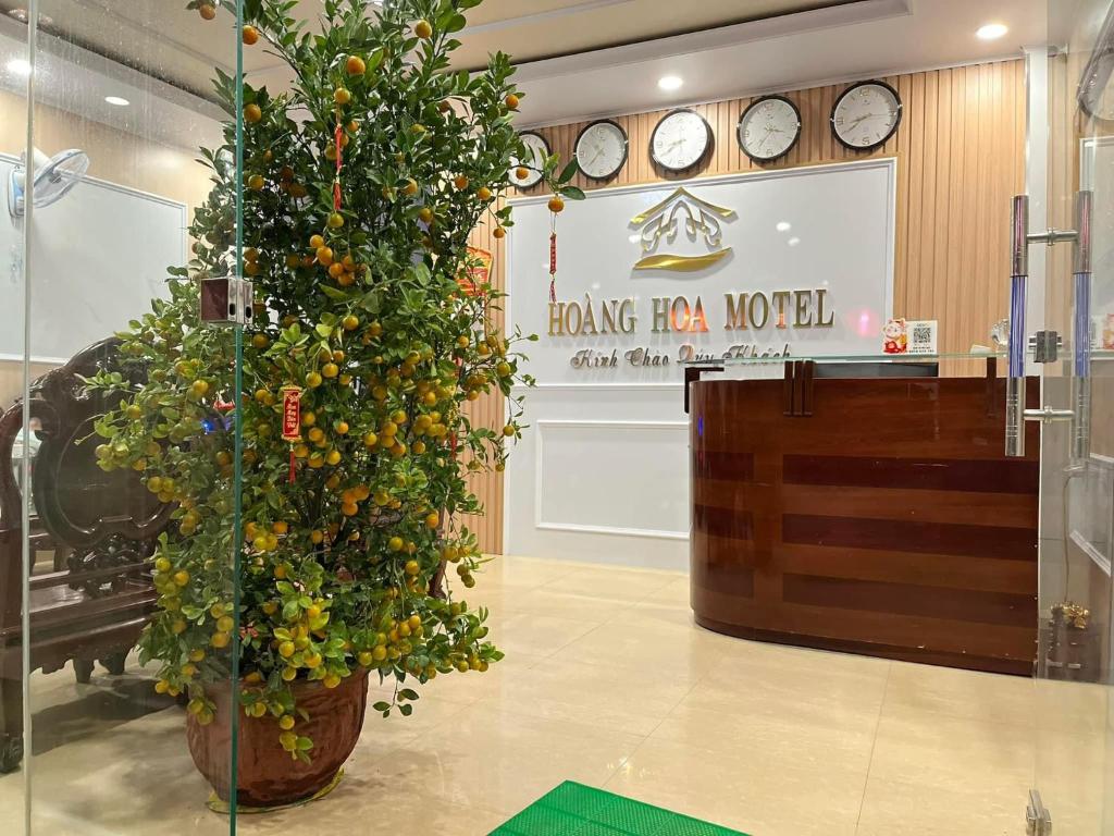 Nhà Nghỉ Hoàng Hoa Nha Nghi Hoang Hoa 호텔 이미지 2