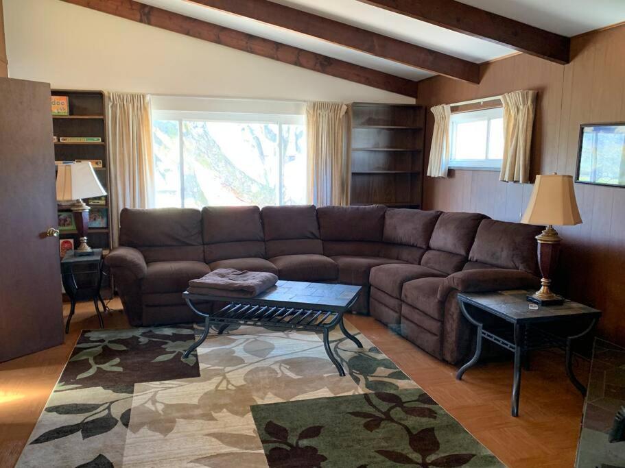 Hidden Treasure, Scott Depot