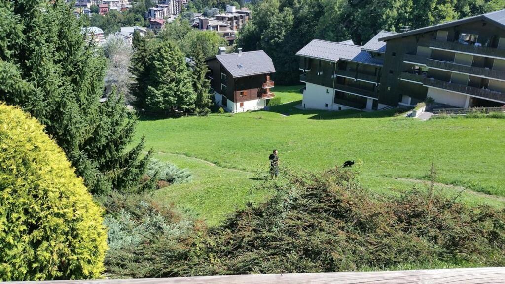 Etoile des Alpes - 4