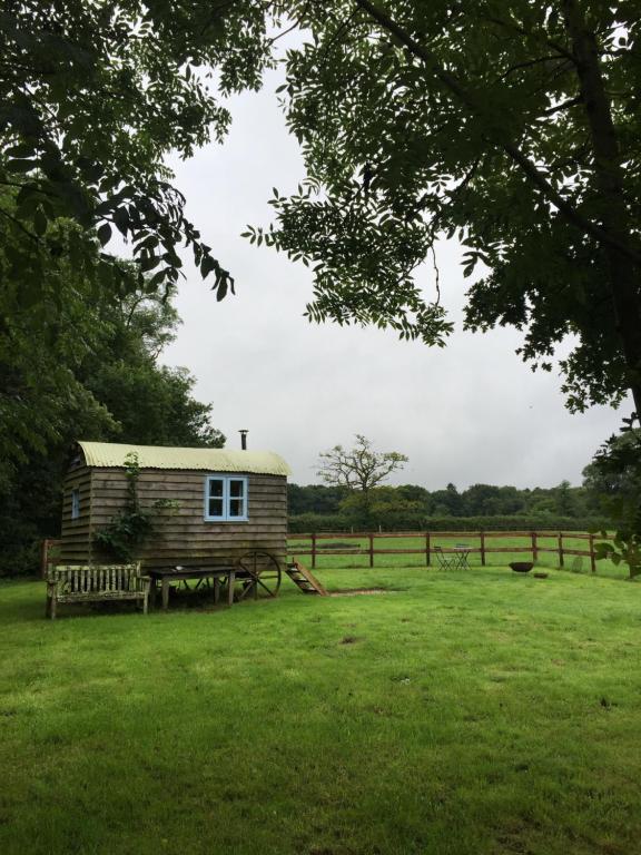 Mollies Hut, Trudoxhill photo 8