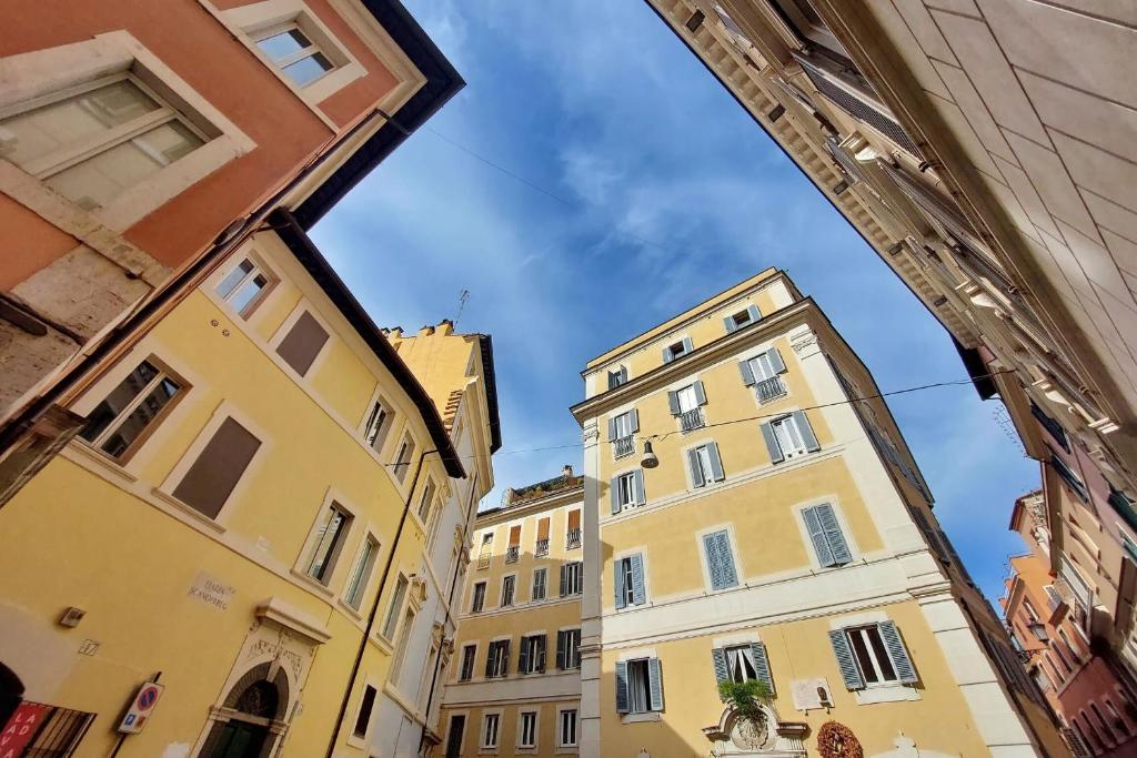 Trevi Comfort - 3