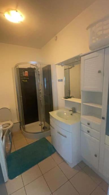 Appart de 5 chambres sur Nancy - 2