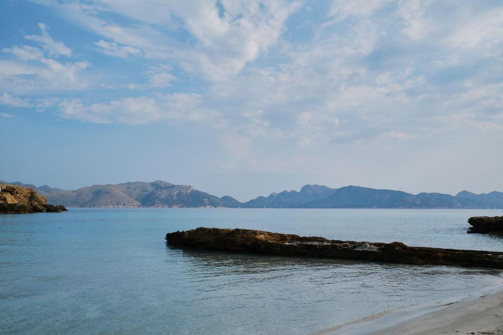 Prinsotel Mal Pas - Adults Only — Beach in Alcudia, Balearic Islands