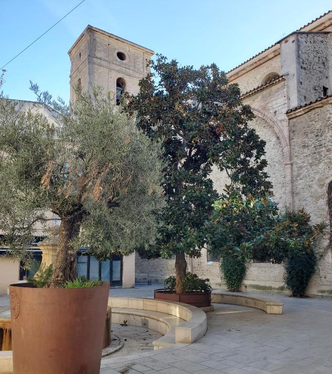 T3 Provençal à la Ciotat - 4