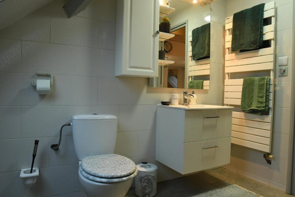DUPLEX SPACIEUX TOUT CONFORT - 5