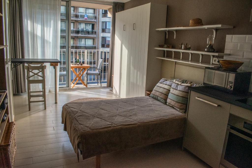 Gezellige studio met balkon - Santhooft centrum Nieuwpoort-bad, Nieuwpoort