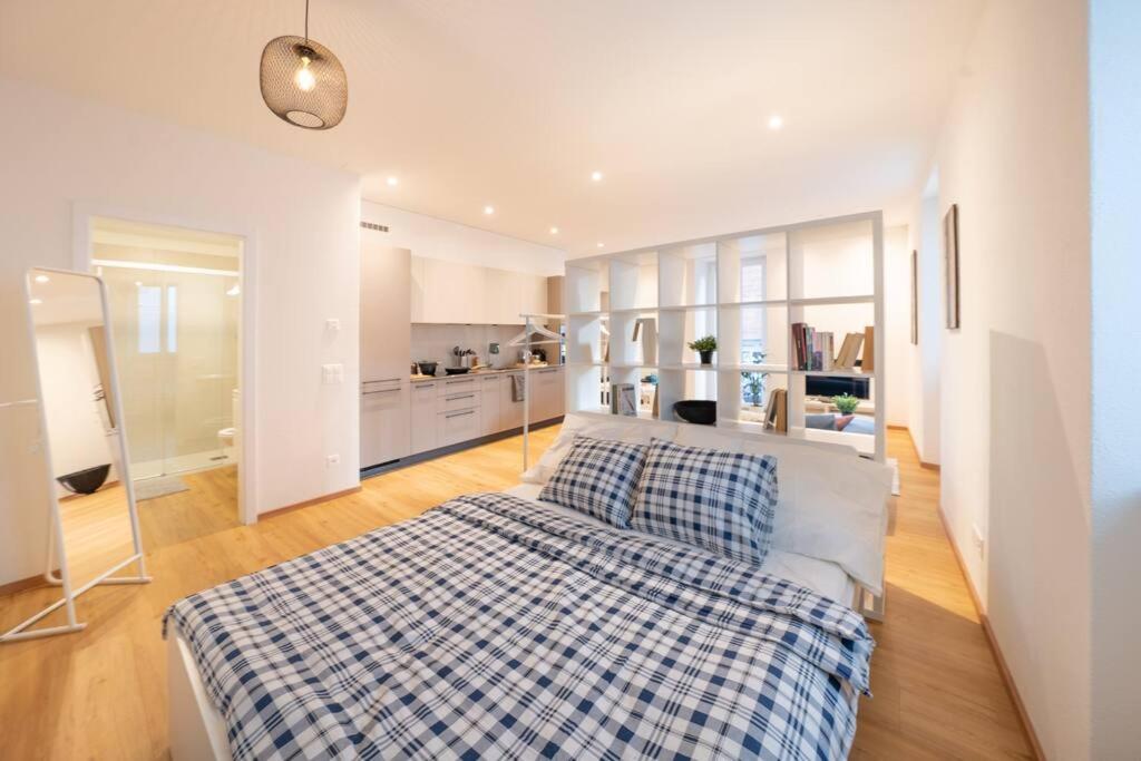 Loft DV1 - Bellissimo loft in Città Vecchia Locarno, Locarno