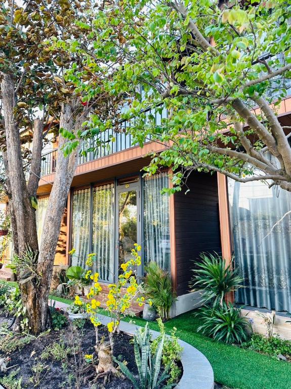 Dream House Homestay Hotel - 4