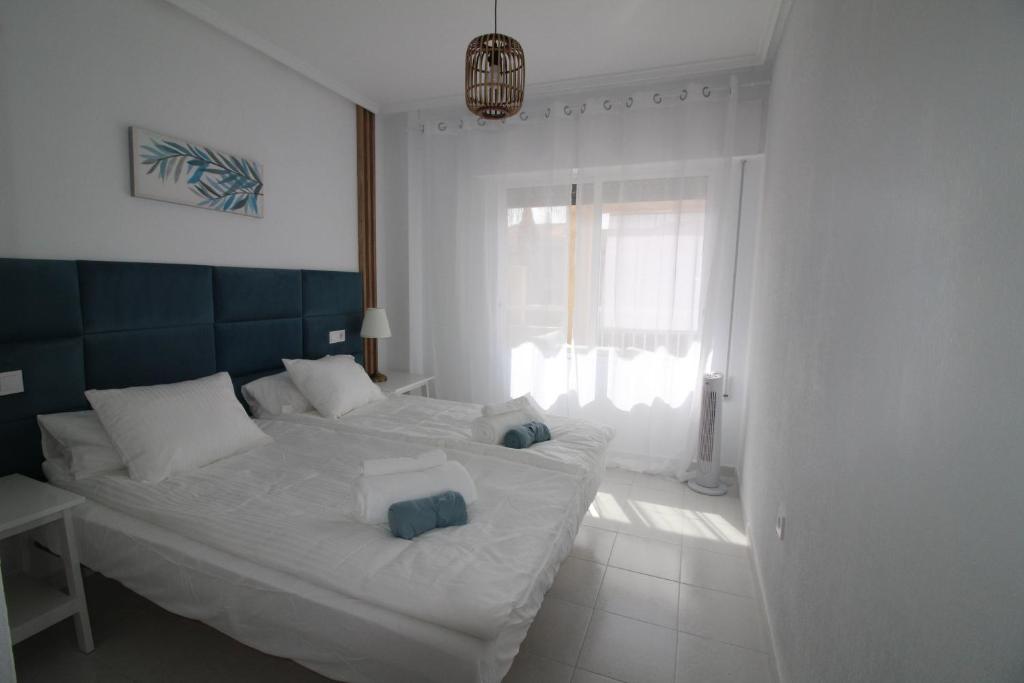 Apartamento en Torrevieja Elvira Home AQ-116 - 4