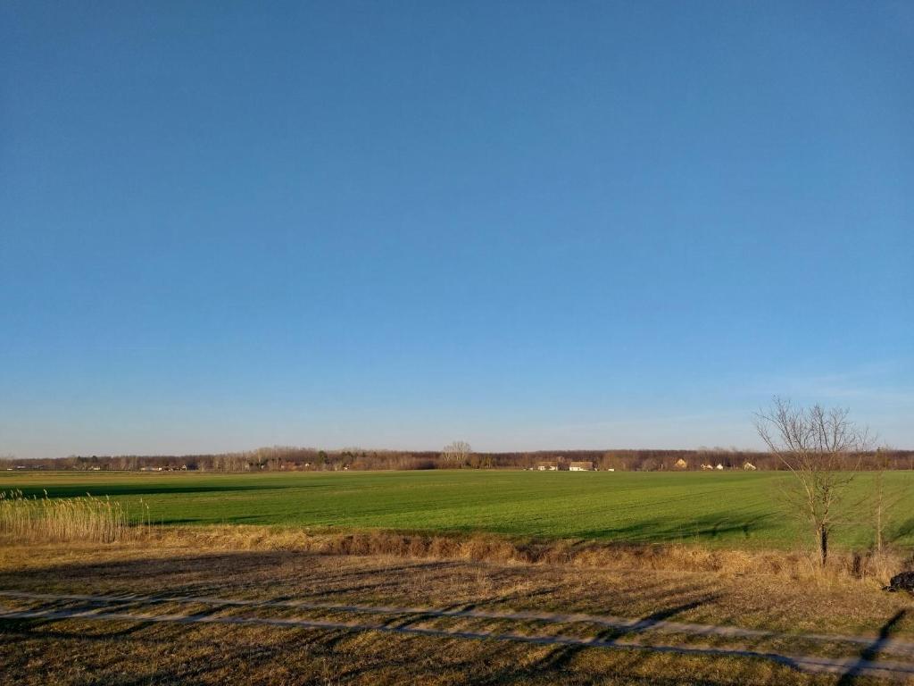 Ranch 170 - 2